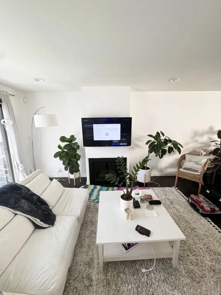 UCLA TV mounting installation 1 - professional wall mounting service